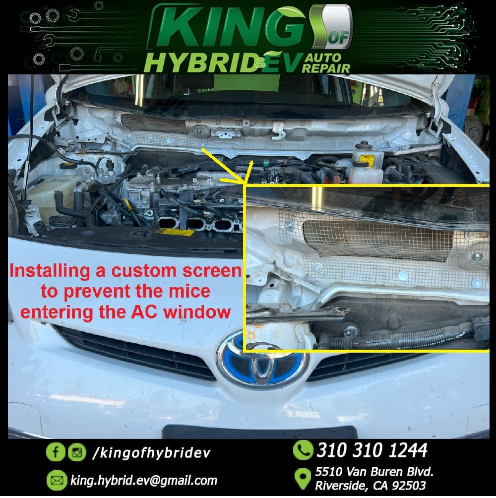 Mice Issues in Cars: A Common and Expensive Problem